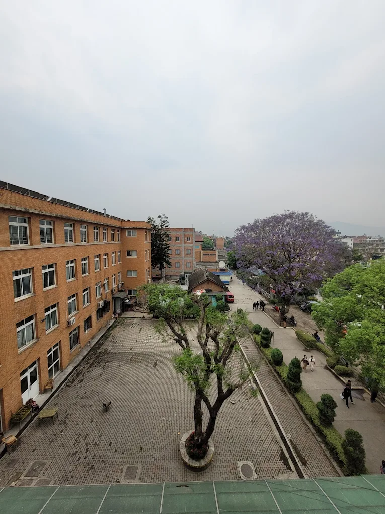 Patan Academy of Health Sciences